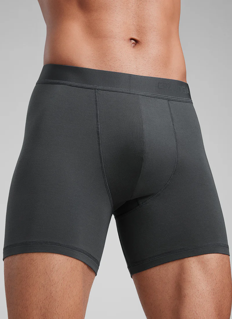 Ultra-Soft Modal Double Lined 5" Boxer Underwear (3-Pack) - Image 13